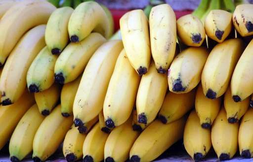 Bananas - Consumer Behaviour